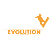 Snowboard Evolution - orange/weiss