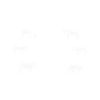 Kühe