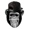 Monkey business