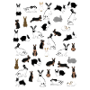 All rabbits