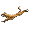 Belgian Shepherd Malinois
