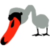 SWAN SCHWAN