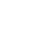 Original Jahrgang 1981