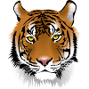 Tiger head