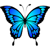 Schmetterling