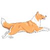 pkcollietan