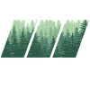 WOOD Wald Geschenk