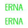 ERNA die Echte