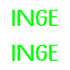 INGE die Echte