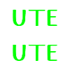 UTE die Echte