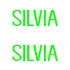 SILVIA die Echte