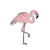 Flamingo - Comicstyle