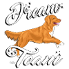 tollerdreamteam