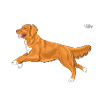 tollerdiamonds