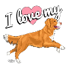 tollerlovemy