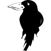 Crow
