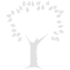 Baum