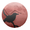 Counting Crows