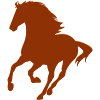 Real Horse