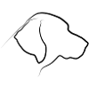 Sagoma Labrador