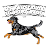 Beauceron