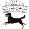 beauceronlove2