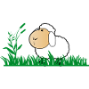 Funny sheep in green grass