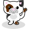 Cute cat