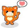 Cute cat