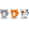 chats mignons