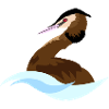 Great Crested Grebe