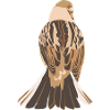 Reed Bunting logo