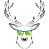 cool deer