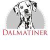 Dalmatiner