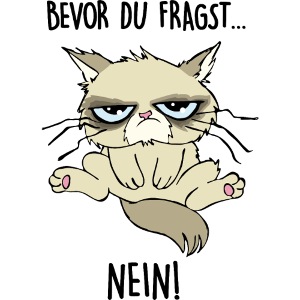 Bevor du fragst... NEIN