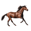 Horse love