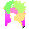 Portrait fushia