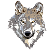 The wolf