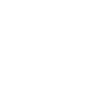 Physiker - Physiker Definition