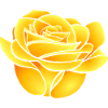 Gelbe Rose