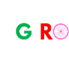 GIRO wheel
