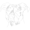 Staffordshire TERRIER Wilsigns