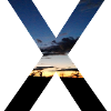 X