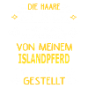 ISLANDPFERD