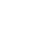 Bull Terrier Dog