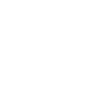 Border Collie Hund