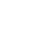 Bernese Mountain Dog