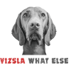 Vizsla What else