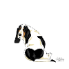bassewhat