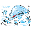 dolphin